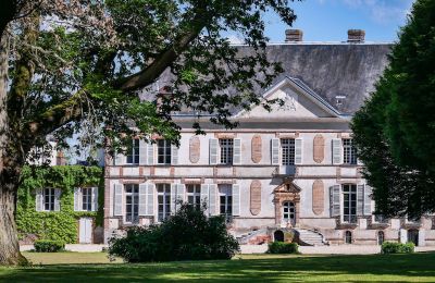 Kasteel te koop Sens, Bourgogne-Franche-Comté, Vooraanzicht