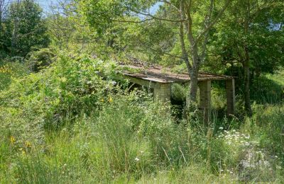 Landelijk huis te koop Perugia, Umbria, Foto 13/23