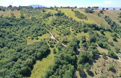 Landelijk huis te koop Perugia, Umbria, Foto 6/23