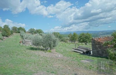 Historische villa te koop Monterchi, Toscane, Foto 22/24