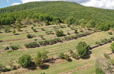 Historische villa te koop Monterchi, Toscane, Foto 24/24