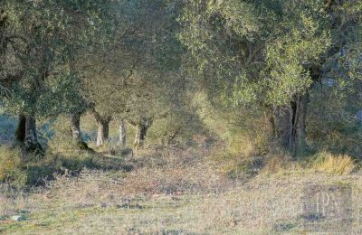 Landelijk huis te koop 06073 Corciano, Umbria, Foto 32/42