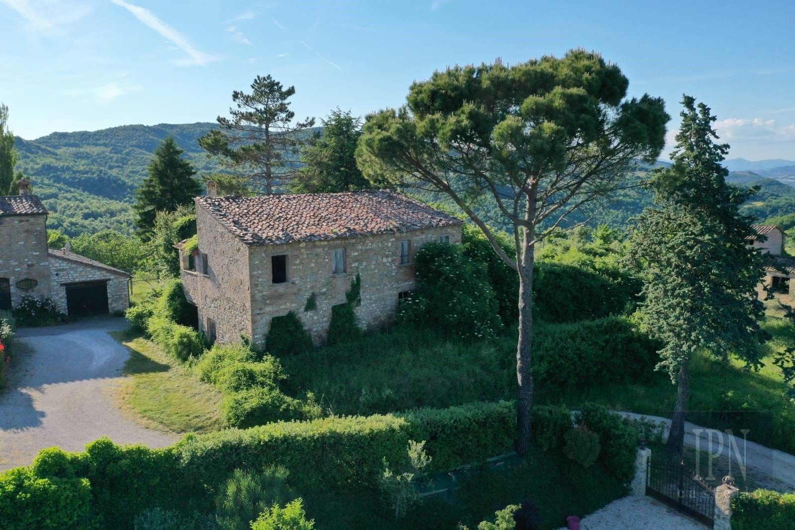 Images Polgeto Project
