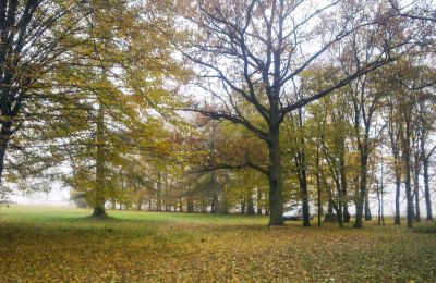 Historisch Park te koop Skorki, Mazovië,, Eigendom
