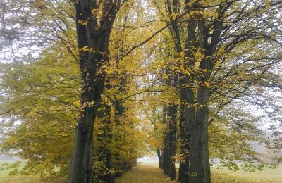 Historisch Park te koop Skorki, Mazovië,, Foto 4/6