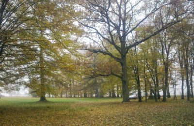 Historisch Park te koop Skorki, Mazovië,, Foto 5/6