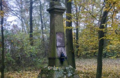 Historisch Park te koop Skorki, Mazovië,, Foto 6/6