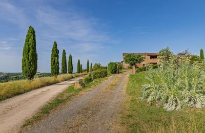 Landelijk huis te koop Montalcino, Toscane, Foto 11/26