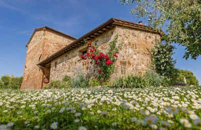 Landelijk huis te koop Montalcino, Toscane, Foto 14/26