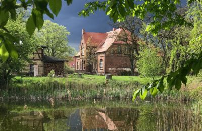 Historische panden, Landhuis met beschermd park en vijver in het Mecklenburgs merengebied (Duitsland)