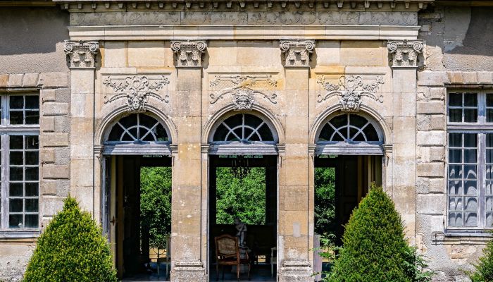 Kasteel te koop Vitry-le-François, Grand-Est,  Frankrijk
