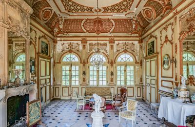 Kasteel te koop Vitry-le-François, Grand-Est, Ingangshal