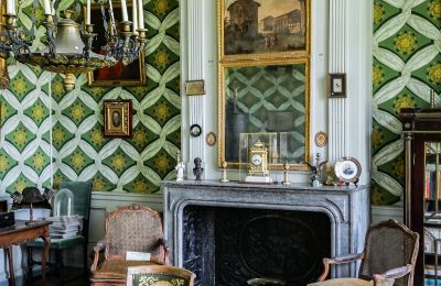 Kasteel te koop Vitry-le-François, Grand-Est, Details