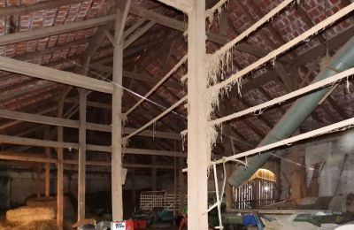 Historisch huis te koop 94152 Vornbach, Schauerödstraße 2+4, Bayern, Foto 13/21