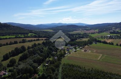 Landhuis te koop Radochów, Neder-Silezië, Foto 9/10