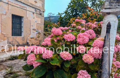 Landhuis te koop Araba/Álava, Ayala/Aiara, Ayala / Aiara, Llanteno, Euskadi, Foto 2/29