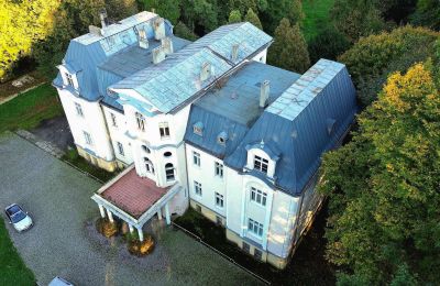 Kasteel te koop Zakrzów, Opole, Dak