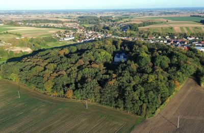 Kasteel te koop Zakrzów, Opole, Omgeving van het pand