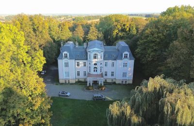 Kasteel Zakrzów, Opole