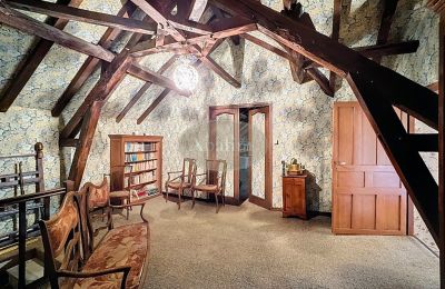 Historisch pand te koop Lannemezan, Occitanie, Foto 10/19