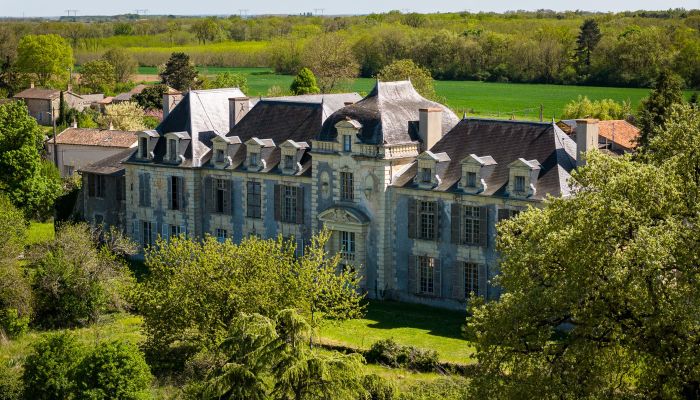 17e-eeuws kasteel te renoveren met 26 hectare park tussen Touraine en Anjou