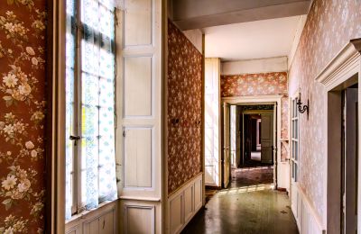 Kasteel te koop Thouars, Nouvelle-Aquitaine, Foto 14/16