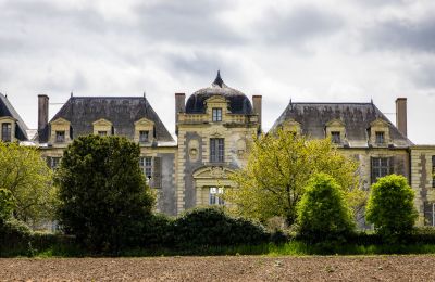 Kasteel te koop Thouars, Nouvelle-Aquitaine, Foto 2/16