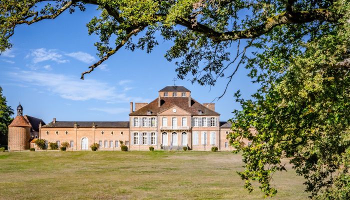 Kasteel te koop Nevers, Bourgogne-Franche-Comté,  Frankrijk