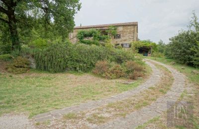 Landelijk huis te koop 06010 Monte Santa Maria Tiberina, Umbria, Foto 31/50