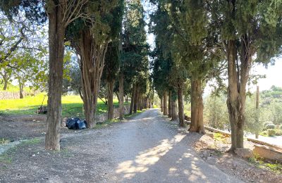 Kasteel te koop Castellar del Vallès, Poligono 19 Parcela 12, Catalonië, Foto 45/50