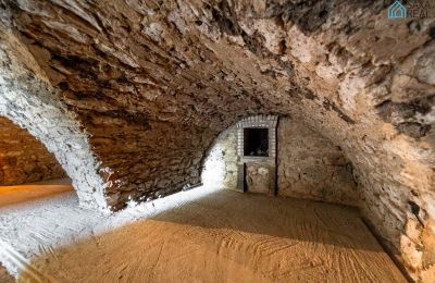Landhuis te koop Rakovec nad Ondavou, Košice-regio, Kelder