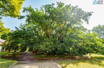 Landhuis te koop Rakovec nad Ondavou, Košice-regio, Park