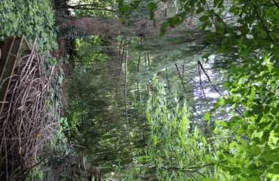 Historische villa te koop Faido, Ticino, Foto 11/44