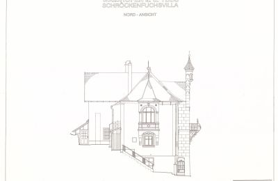 Historische villa te koop Waidhofen an der Ybbs, Niederösterreich, Foto 41/40