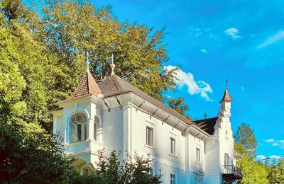 Historische villa te koop Waidhofen an der Ybbs, Niederösterreich, Foto 2/40