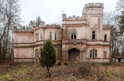 Kasteel te koop Cisie-Zagrudzie, Mazovië,, Foto 1/4