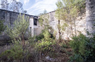 Landelijk huis te koop Manduria, Via per Lecce km 2, Puglia, Foto 19/31