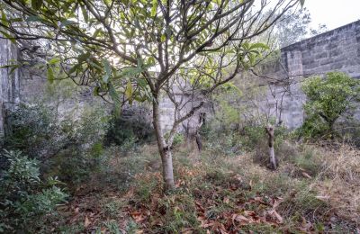 Landelijk huis te koop Manduria, Via per Lecce km 2, Puglia, Foto 20/31
