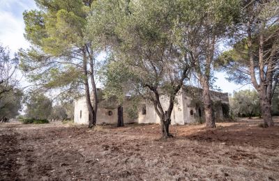 Landelijk huis te koop Manduria, Via per Lecce km 2, Puglia, Foto 27/31