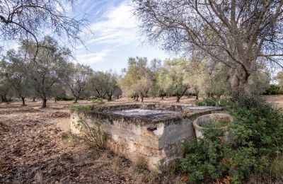 Landelijk huis te koop Manduria, Via per Lecce km 2, Puglia, Foto 28/31