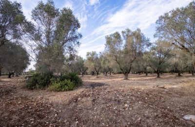 Landelijk huis te koop Manduria, Via per Lecce km 2, Puglia, Foto 29/31