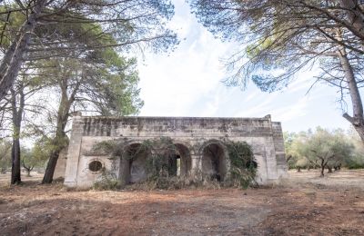 Landelijk huis te koop Manduria, Via per Lecce km 2, Puglia, Foto 30/31