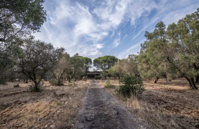 Landelijk huis te koop Manduria, Via per Lecce km 2, Puglia, Foto 31/31