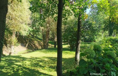 Molen te koop Netvořice, okres Benešov, Foto 21/24
