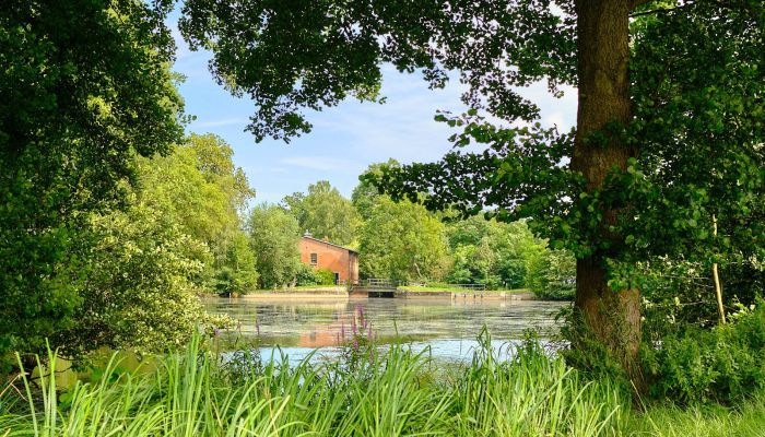 Molen te koop 29451 Dannenberg, Niedersachsen,  Duitsland
