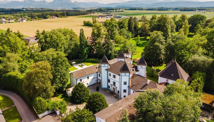 Kasteel te koop 4693 Desselbrunn, Opper-Oostenrijk