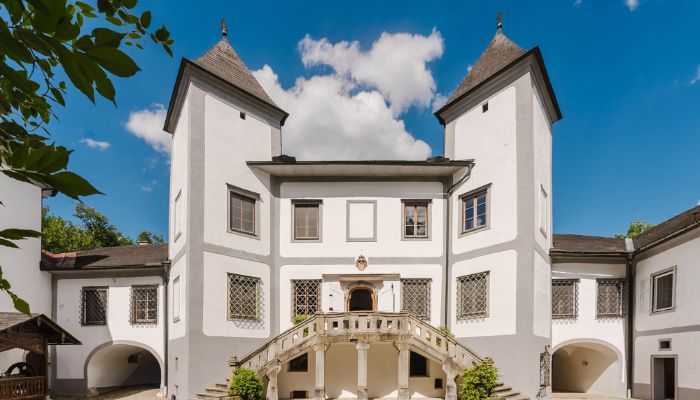 Kasteel te koop 4693 Desselbrunn, Opper-Oostenrijk