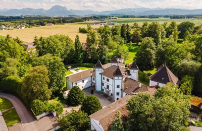 Kasteel te koop 4693 Desselbrunn, Opper-Oostenrijk, Foto 3/23
