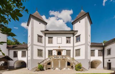 Kasteel 4693 Desselbrunn, Opper-Oostenrijk