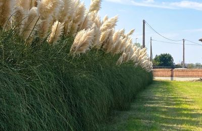 Historische villa te koop Paviole, cesare battisti 43, Veneto, Foto 43/46